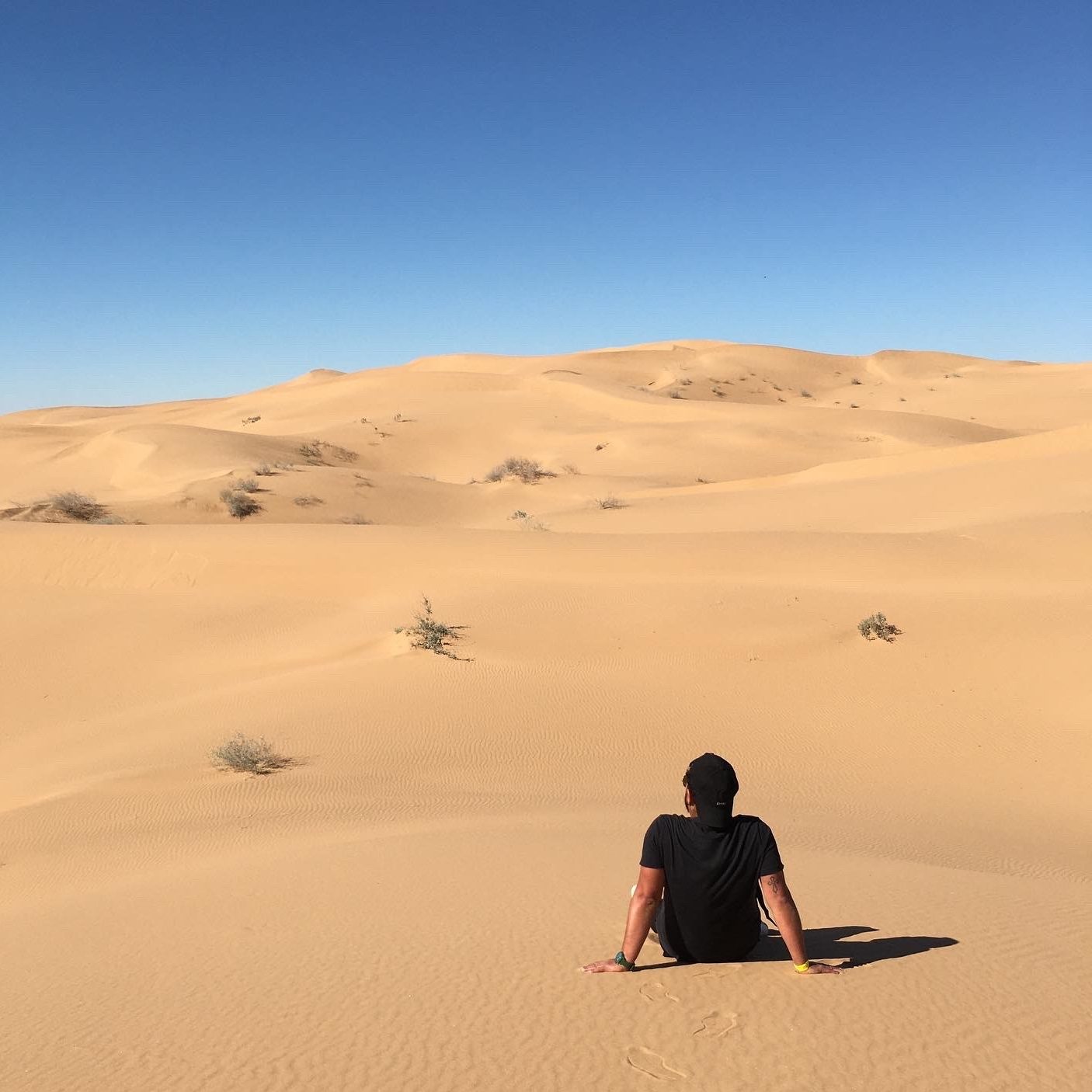 Luis Eduardo Servín Garcidueñas